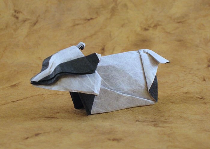 Origami European badger by Jozsef Zsebe. Folded from a square of double-sided Unryu paper by Gilad Aharoni on giladorigami.com