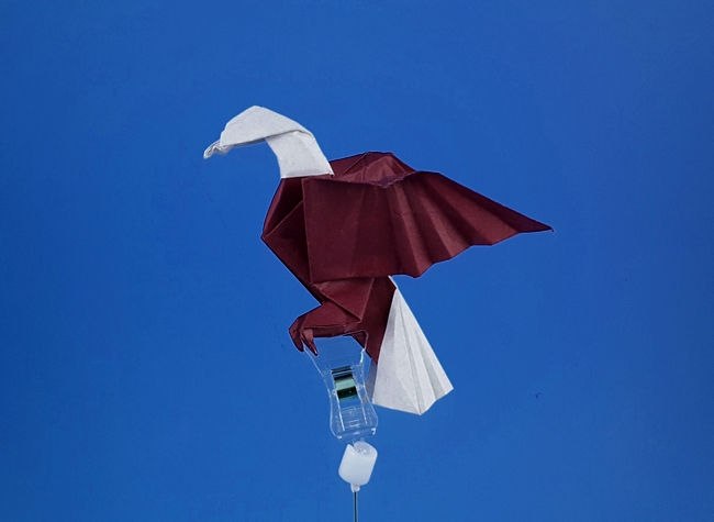 Origami Bald eagle by John Montroll. Folded from a square of origami paper by Gilad Aharoni on giladorigami.com