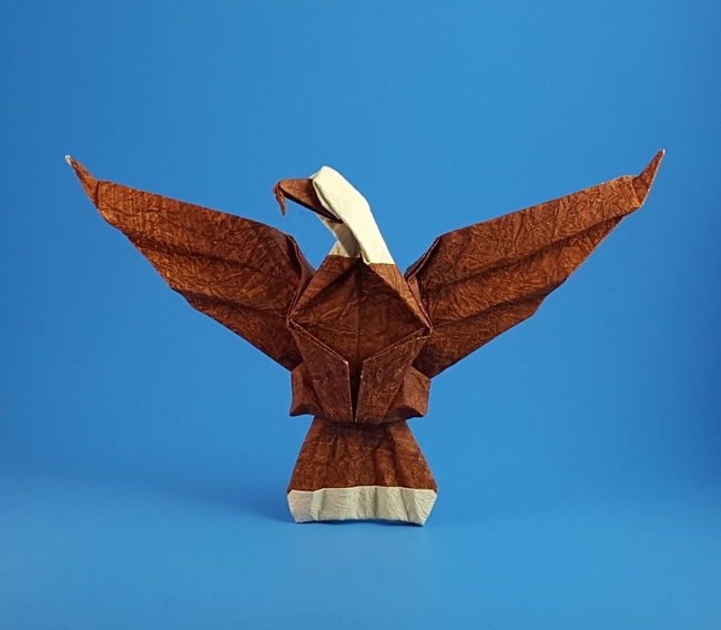 Origami Bald eagle by Fred Rohm. Folded by Gilad Aharoni on giladorigami.com