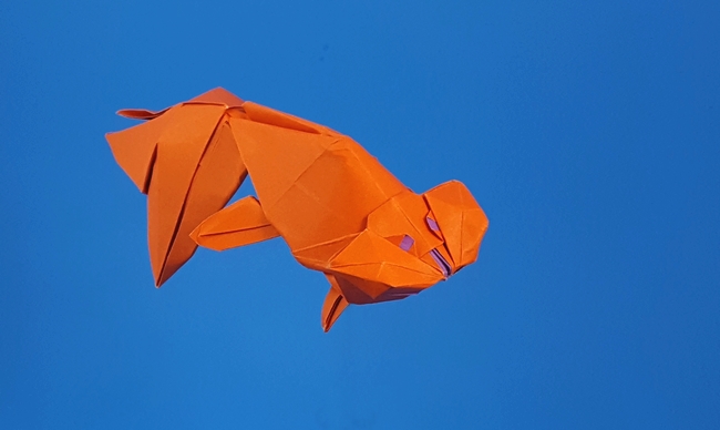 Origami Bubble eye goldfish by Ronald Koh. Folded by Gilad Aharoni on giladorigami.com
