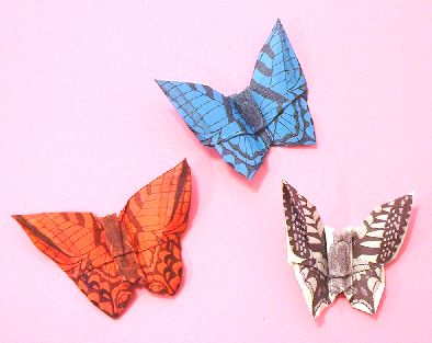 Origami Butterfly by Pasquale d'Auria. Folded from a rectangle of specially printed paper by Pasquale by Gilad Aharoni on giladorigami.com