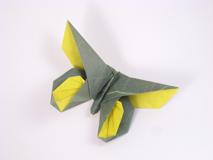 Origami Butterfly - Anne LaVin by Michael G. LaFosse. Folded from a square of duo origami paper by Gilad Aharoni on giladorigami.com