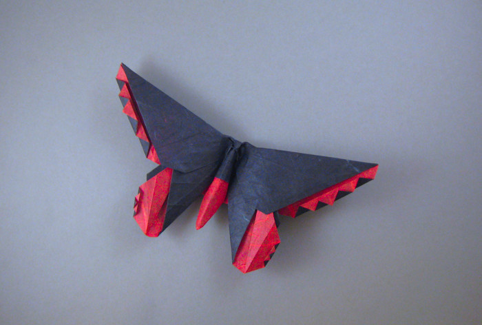 Origami Butterfly - Birdwing by Michael G. LaFosse. Folded from a square of double-sided mulberry paper by Gilad Aharoni on giladorigami.com