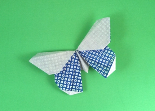 Origami Butterfly - Boston by Michael G. LaFosse. Folded from a square of origami paper by Gilad Aharoni on giladorigami.com