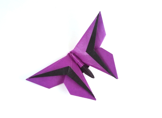 Origami Butterfly - Tony Cheng by Michael G. LaFosse. Folded from a square of duo origami paper by Gilad Aharoni on giladorigami.com