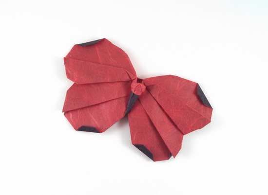 Origami Butterfly by Alfredo Giunta. Folded from a square of double sided Unryu paper by Gilad Aharoni on giladorigami.com