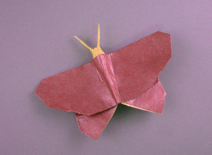 Origami Butterfly by Jun Maekawa. Folded from a square of Kathy Stevick's tissue-foil by Gilad Aharoni on giladorigami.com