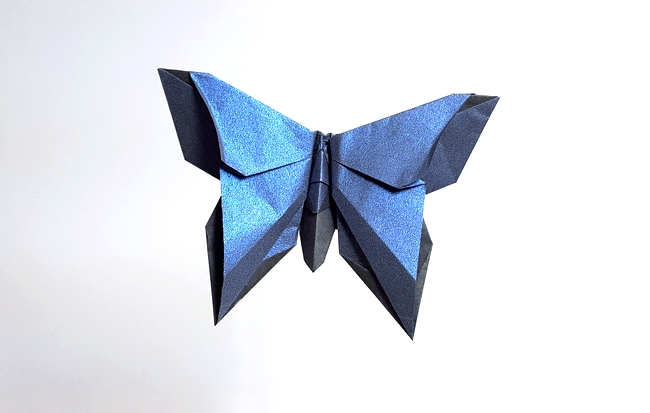 Origami Butterfly - Reiko Tuttle by Michael G. LaFosse. Folded from a square of Shadow-Fold paper by Gilad Aharoni on giladorigami.com