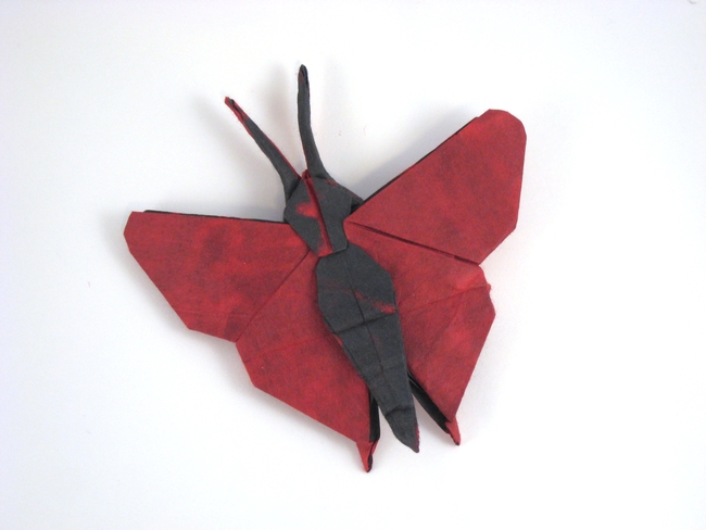 Origami Butterfly - Zoe by Quentin Trollip. Folded from a square of mulberry paper by Gilad Aharoni on giladorigami.com