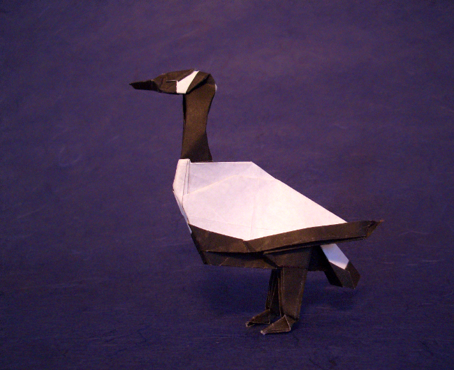 Origami Canada goose by John Montroll. Folded from a square of origami paper by Gilad Aharoni on giladorigami.com