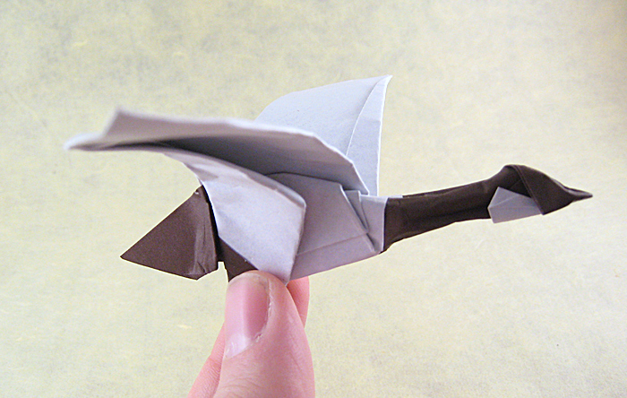 Origami Canada goose by Roman Diaz. Folded from a square of origami paper by Gilad Aharoni on giladorigami.com