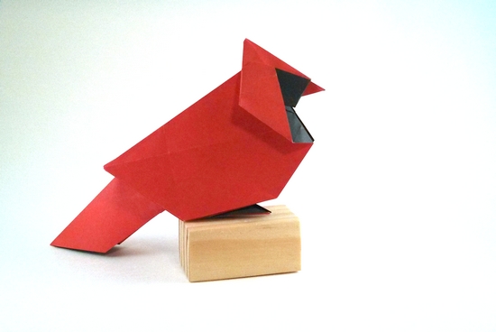 Origami North American Cardinal by Roman Diaz. Folded from a square of duo origami paper by Gilad Aharoni on giladorigami.com
