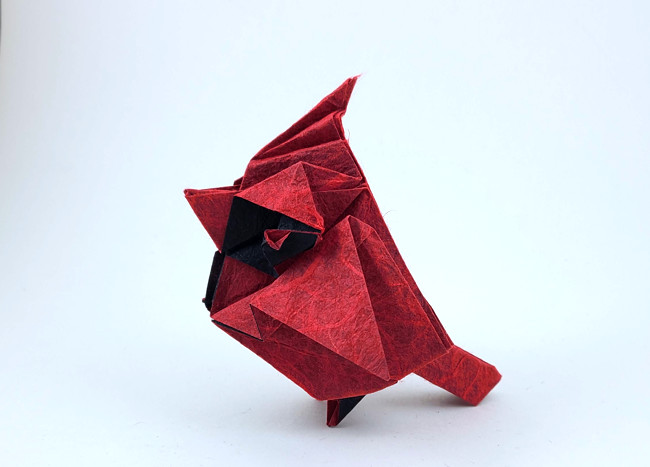 Origami Cardinal by Jiahui Li (Syn). Folded from a square of Duo Thai origami paper by Gilad Aharoni on giladorigami.com