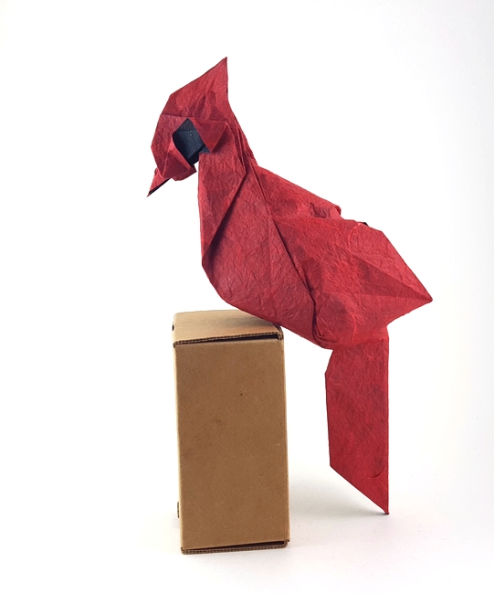 Origami Cardinal by Ynon Toledano. Folded form a square of Duo Thai paper by Gilad Aharoni on giladorigami.com