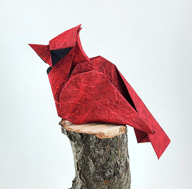 Origami Cardinal by Quentin Trollip. Folded from a square of Duo Thai origami paper by Gilad Aharoni on giladorigami.com