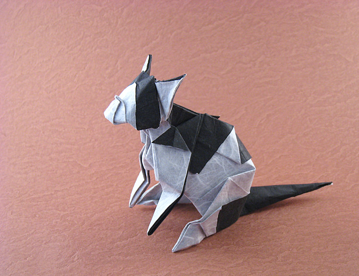 Origami Cat herr by Fumiaki Kawahata. Folded from a square of duo Unryu paper by Gilad Aharoni on giladorigami.com