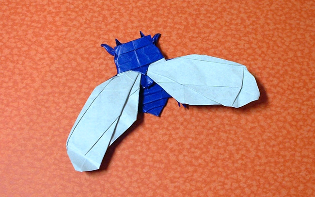 Origami Cicada by Lionel Albertino. Folded from a square of origami paper by Gilad Aharoni on giladorigami.com