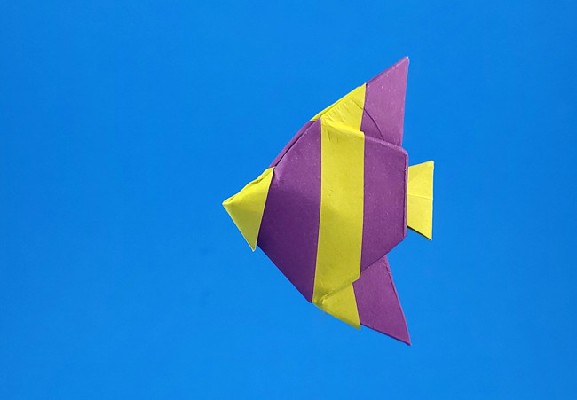 Origami Colorful angelfish by John Montroll. Folded from a square of duo origami paper by Gilad Aharoni on giladorigami.com