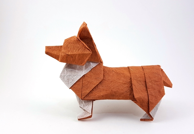 Origami Welsh Corgi by Steven Casey. Folded from a square of Duo Thai paper by Gilad Aharoni on giladorigami.com
