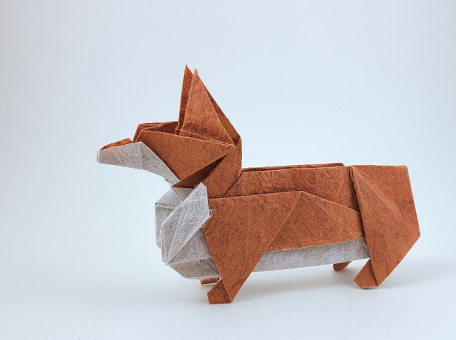 Origami Corgi by Ouchi Koji. Folded from a square of Duo Thai origami paper by Gilad Aharoni on giladorigami.com