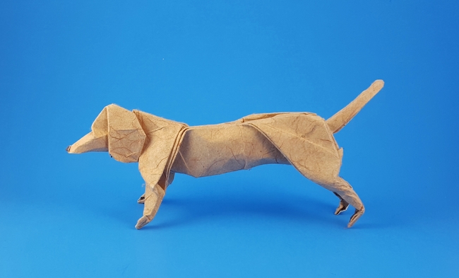Origami Dachshund by Artur Biernacki. Folded by Gilad Aharoni on giladorigami.com