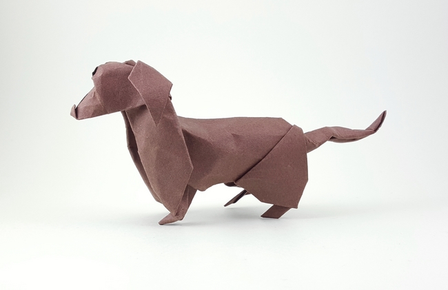 Origami Dachshund by David Brill. Folded by Gilad Aharoni on giladorigami.com
