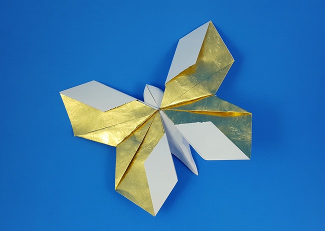 Origami Daisy butterfly by Nick Robinson. Folded from a square of giftwrap by Gilad Aharoni on giladorigami.com