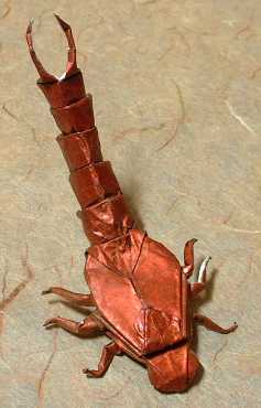 Origami Earwig by Alfredo Giunta. Folded by Gilad Aharoni on giladorigami.com
