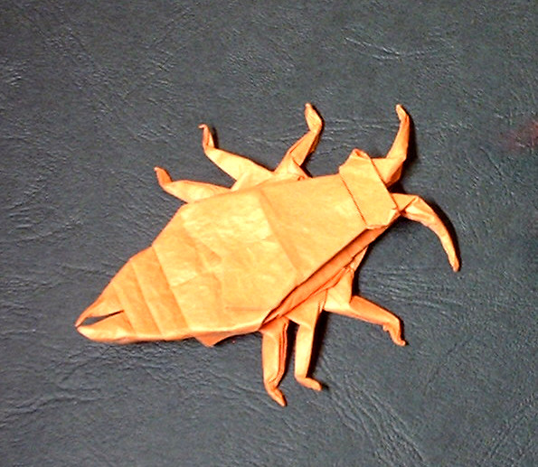 Origami Earwig by John Montroll. Folded from a square of Vietnamese wrapping-paper by Gilad Aharoni on giladorigami.com