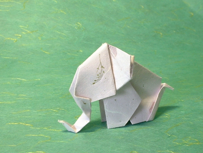 Origami Elephant by Enomoto Nobuyoshi. Folded by Gilad Aharoni on giladorigami.com