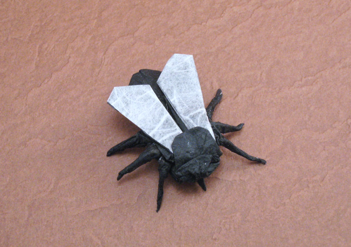 Origami Fly by Max Hulme. Folded by Gilad Aharoni on giladorigami.com