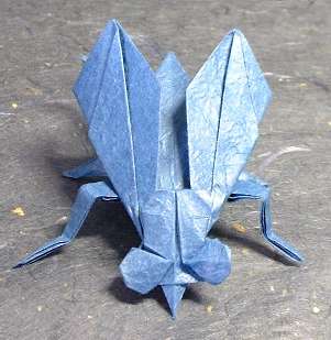 Origami Fly by Miyajima Noboru. Folded from a square of Vietnamese wrapping-paper by Gilad Aharoni on giladorigami.com
