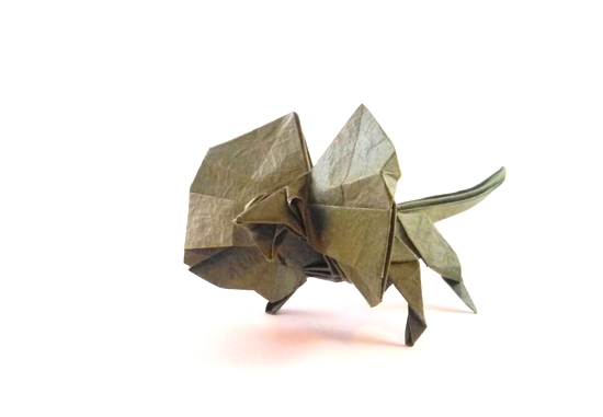 Origami Frilled-neck lizard by Gen Hagiwara. Folded by Gilad Aharoni on giladorigami.com