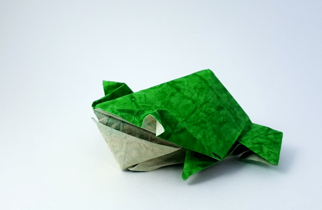 Origami Frog by Imai Kota. Folded from a square of Crinkle Green scrapbooking paper by Gilad Aharoni on giladorigami.com