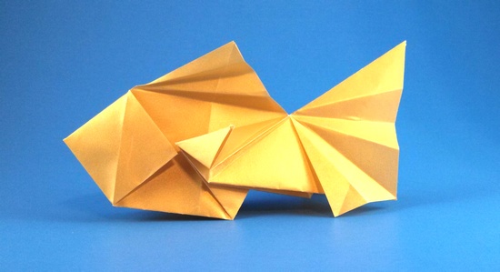 Origami Goldfish by Gen Hagiwara. Folded from a square of scrapbooking paper by Gilad Aharoni on giladorigami.com