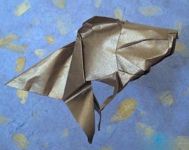 Origami Goldfish by Michael G. LaFosse. Wet-folded from a square of
