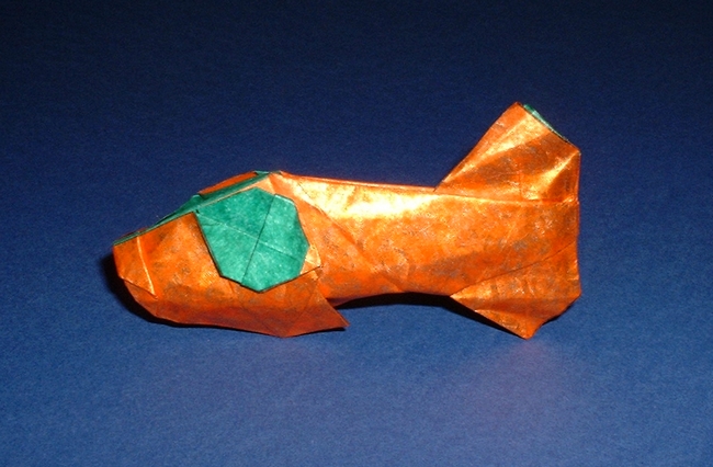 Origami Goldfish by Masamichi Noma. Folded by Gilad Aharoni on giladorigami.com