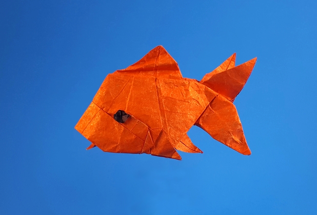 Origami Goldfish by Quentin Trollip. Folded from a square of Kathy Stevick's tissue foil by Gilad Aharoni on giladorigami.com