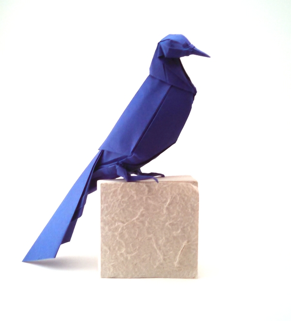 Origami Grackle by Michael G. LaFosse. Folded from a square of cardstock by Gilad Aharoni on giladorigami.com
