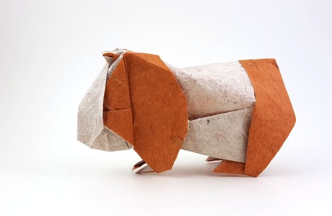 Origami Guinea pig by Nicolas Gajardo Henriquez. Folded from a square of Duo Thai paper by Gilad Aharoni on giladorigami.com