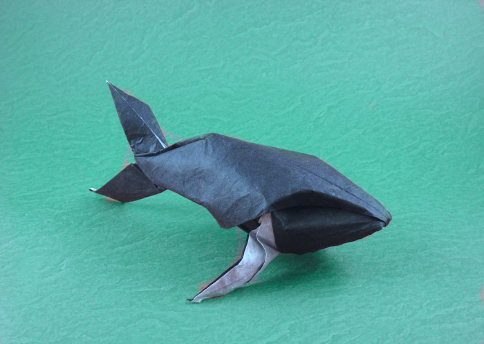 Origami Humpback whale by Michael G. LaFosse. Wet-folded from a square of double-sided Unryu paper by Gilad Aharoni on giladorigami.com