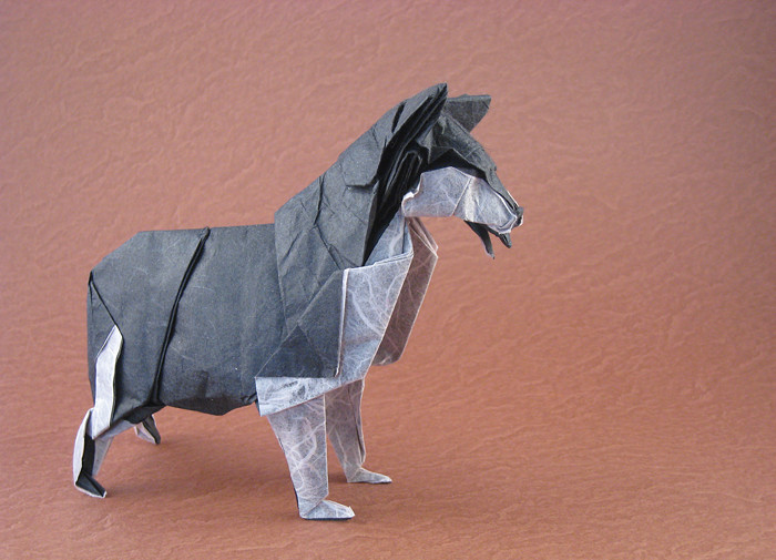 Origami Siberian husky by Fumiaki Kawahata. Wet-folded from a square of duo Unryu paper by Gilad Aharoni on giladorigami.com