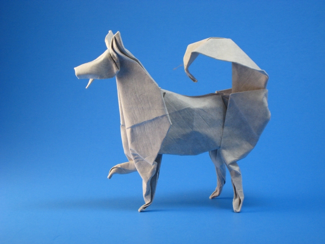 Origami Husky by John Montroll. Wet folded from a square of cardstock by Gilad Aharoni on giladorigami.com