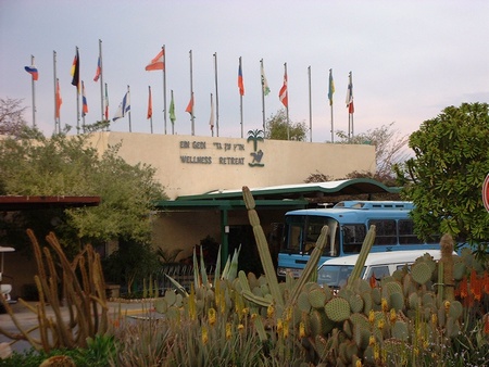 Ein Gedi Origami Convention