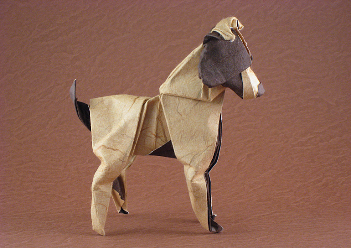 Origami Jack Russel Terrier by Nathan Geller. Wet-folded from a square of double-sided mulberry paper by Gilad Aharoni on giladorigami.com