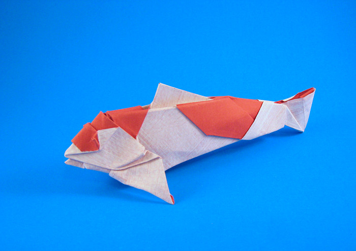 Origami Koi by Miyajima Noboru. Folded from a square of Tant paper by Gilad Aharoni on giladorigami.com