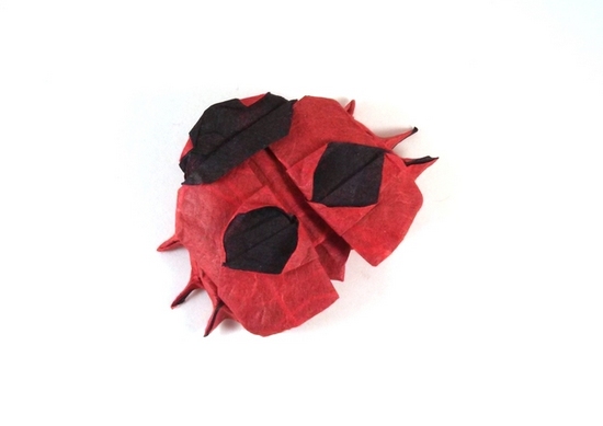 Origami Ladybug by Aaron Einbond. Folded by Gilad Aharoni on giladorigami.com
