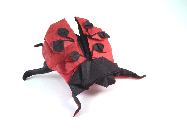 Origami Ladybug by Marc Kirschenbaum. Folded from a square of double-sided Unryu paper by Gilad Aharoni on giladorigami.com