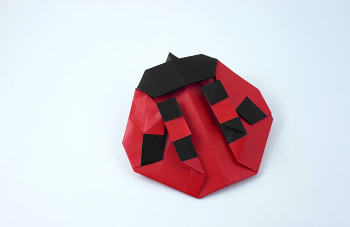 Origami Ladybug by Marc Kirschenbaum. Folded from a square of Duo origami paper by Gilad Aharoni on giladorigami.com