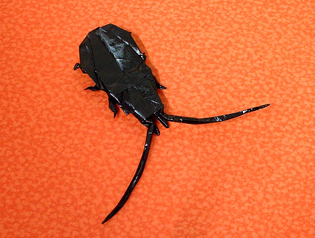 Origami Beetle by Mark Bolitho. Folded from a square of origami paper by Gilad Aharoni on giladorigami.com